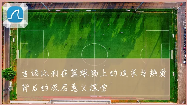吉诺比利在篮球场上的追求与热爱背后的深层意义探索