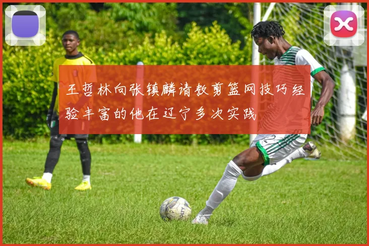 王哲林向张镇麟请教剪篮网技巧经验丰富的他在辽宁多次实践