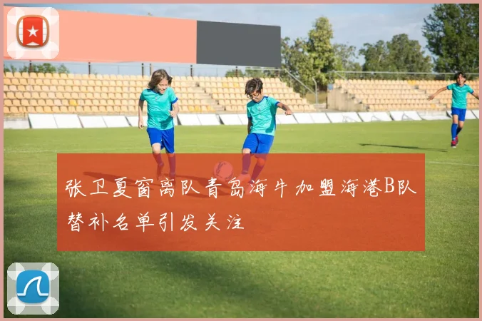 张卫夏窗离队青岛海牛加盟海港B队替补名单引发关注